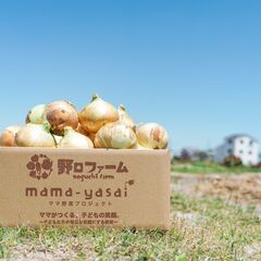 【淡路島に移住して農業しませんか？】未経験OK・全国の子供たちを笑顔にする野菜を届ける仕事！の画像