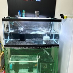 900ガラス水槽