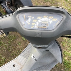 ホンダ　AF18ディオの画像