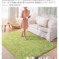ラグ　ほぼ未使用品