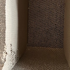 ねこ爪とぎの画像