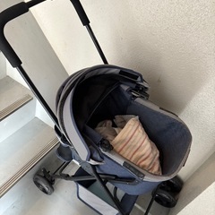 チワワ　ペットカー　美品の画像