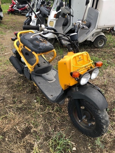 ズーマ・実動車/書類付き ホンダ ズーマー 書類付実働ベース車 【公式通販】