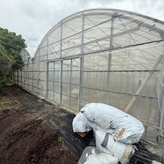  農業用  角パイプ 中古ビニールハウス　