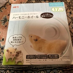 GEX17cmハーモニー回し車サイレントホイールの画像