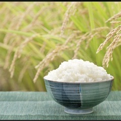 お米購入希望　玄米 30kg〜　農家の方宜しくおねがいしま…