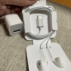 Appleのイヤホンの画像