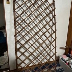 ミニラティス（？）
