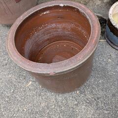 お話し中　水瓶です。の画像