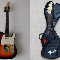 Telecaster Type Electric Guitar