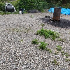 ２ｔコンテナ付き　貸し土地 − 千葉県
