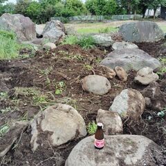庭石無料です