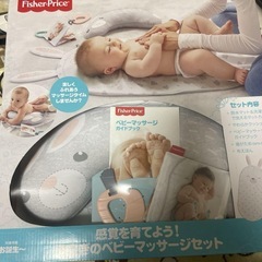 ベビーバウンサー⭐️新品ベビーマッサージセット　歯固め　布えほん　クッション　防水マットの画像