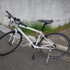 （引取またはお届けご相談）スペシャライズド　シラス