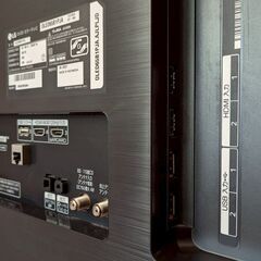 有機EL ☆大迫力の4K画質☆65インチ☆Alexa搭載 2021年モデル LGエレクトロニクス OLED65B1PJA【配達設置無料】熊本限定/離島不可の画像