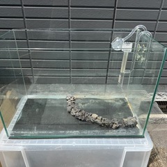 GEX60cmガラス水槽