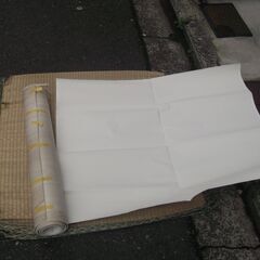 クッションフロアー　木目調　？　と白壁紙