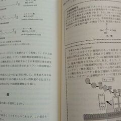 一般化学　第2版の画像