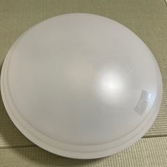 シーデングライト