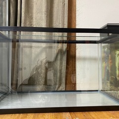 GEX60センチ水槽🐠①