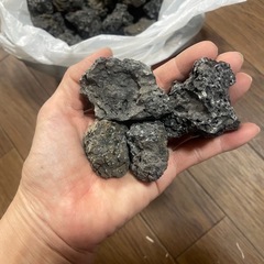 水槽　ろ過　アクアリウム　溶岩石？