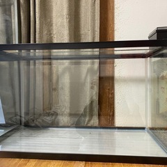 GEX60センチ水槽🐠②