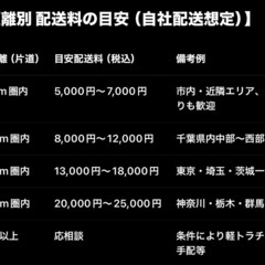 庭が一気にリゾート化！希少なココスヤシ 幹高1.5m（植え付け可）千葉県発の画像