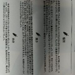 小鳥の巣箱キットの画像