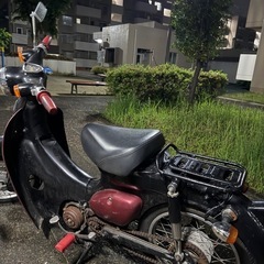 【決まりました】ホンダリトルカブの画像