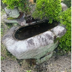 石鉢(大型)