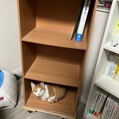 カラーボックス