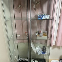 IKEAデトロフガラスケース