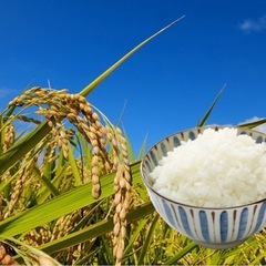 玄米定期購入の希望