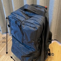 コロコロバックの画像
