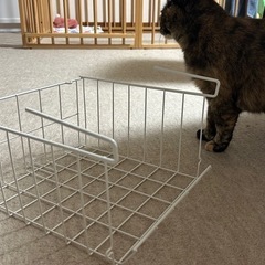 カゴの画像
