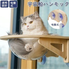 猫　宇宙船ハンモック
