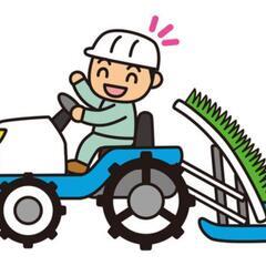田植え補助（苗運び）