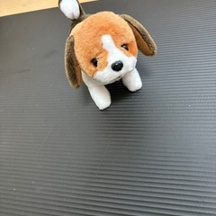あかちゃんビーグルの画像