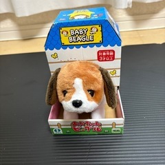 あかちゃんビーグルの画像