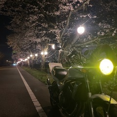 メルカリに売ってます　バリオス250 1型規制前45馬力
