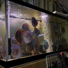 アクリル水槽　　
