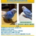 ランキングキーワードに紐づく投稿画像-インコ
