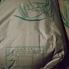 令和６年産玄米３０kg(あいちのかおり)