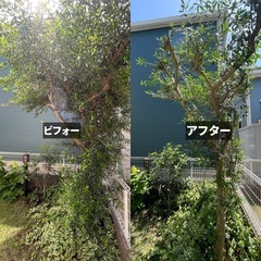 草刈り・剪定を安心価格で提供します！
