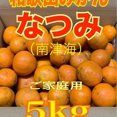 【受付終了】和歌山みかん☆なつみ（南津海）☆ご家庭用5kg 