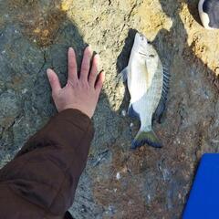 5/13(火)　夕方〜Fishing🎣
