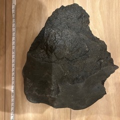 黄虎石等　20センチ幅の石たくさん　テラリウム、苔リウムにの画像