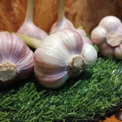 にんにく　島ニンニク（暖地ニンニク）無農薬☆約300グラムの画像