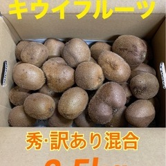 【受付終了】キウイフルーツ☆ご家庭用2.5kg 