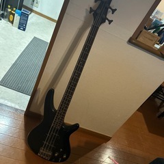 アイバニーズ　ベースの画像